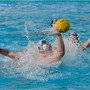 PALLANUOTO BOGLIASCO A2M, PESANTE SCONFITTA IN CASA DELL'ANCONA