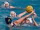 PALLANUOTO/A1F: BOGLIASCO LOTTA, RAPALLO VINCE