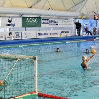 PALLANUOTO BOGLIASCO / A1F, DEBUTTO AMARO: IL RAPALLO PASSA ALLA VASSALLO