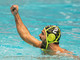 PALLANUOTO Champions League, Spandau - Pro Recco 6-11