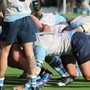 PRO RECCO RUGBY - Gli Squali sbagliano troppo e Cernusco vince di misura