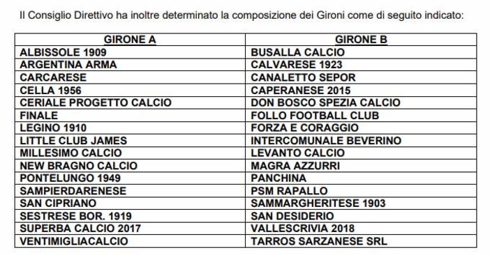 PROMOZIONE Ecco i due gironi