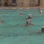 Pallanuoto - Il Lerici Sport getta subito la maschera