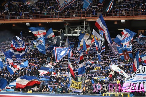 Le FOTO-TIFO di Sampdoria-Cosenza