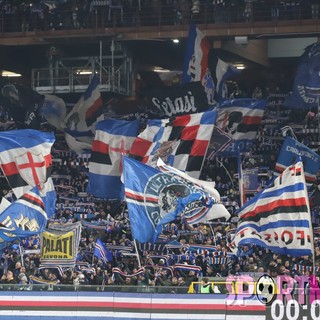 Le FOTO-TIFO di Sampdoria-Pisa