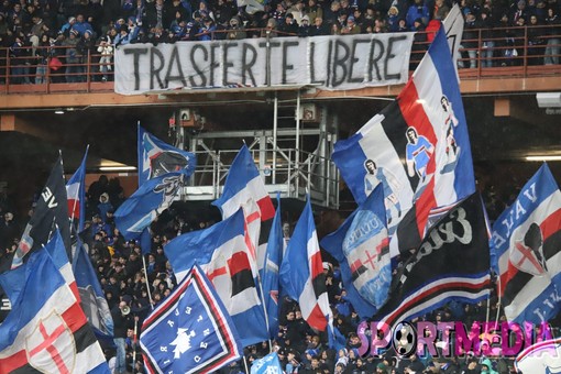 Le FOTO-TIFO di Sampdoria-Modena