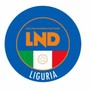 CALCIO DILETTANTI Riunione Safeguarding venerdì 27 dicembre: link per partecipare