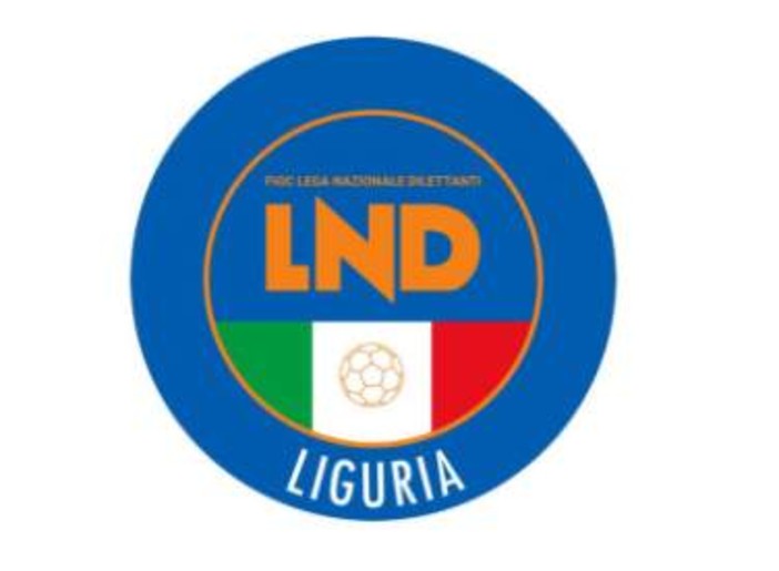 CALCIO DILETTANTI Riunione Safeguarding venerdì 27 dicembre: link per partecipare